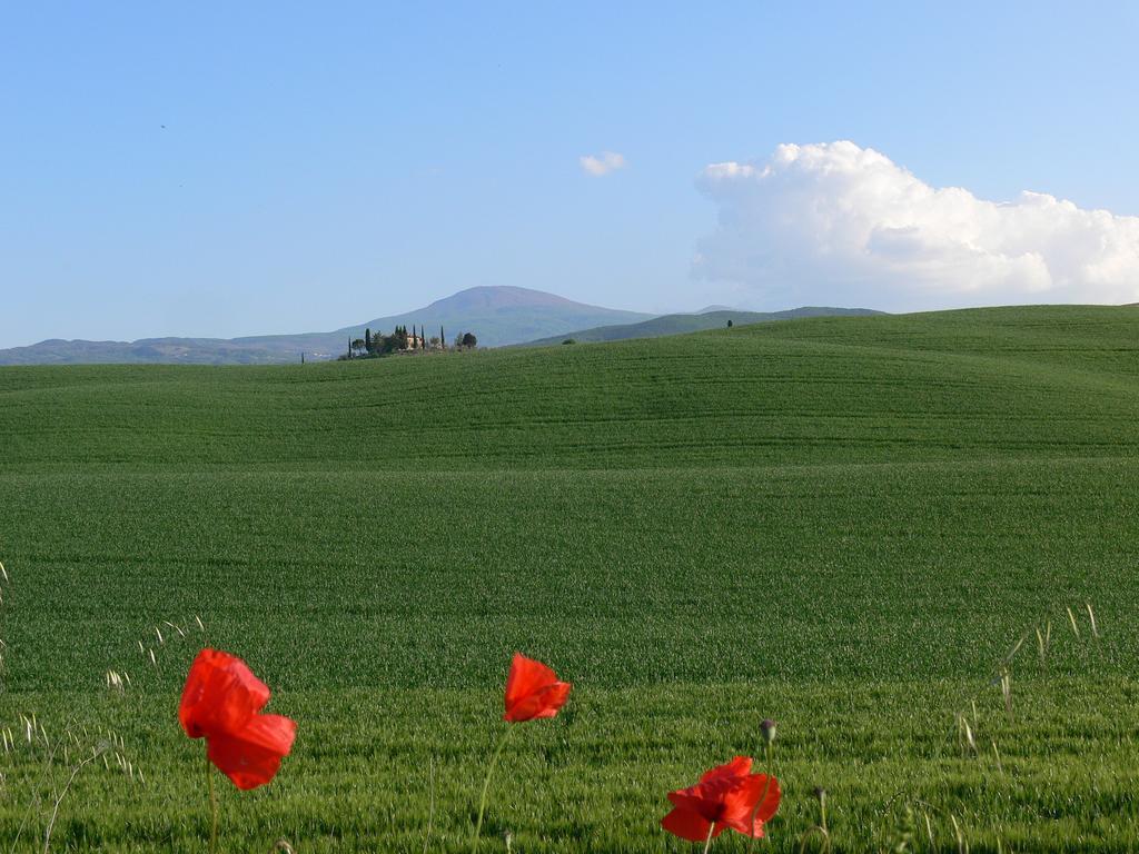 Le Rogheta Villa Campiglia d'Orcia Exterior photo